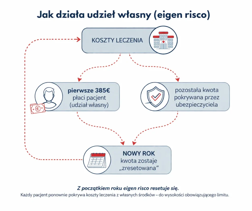 Zasady Eigen Risco Infografika